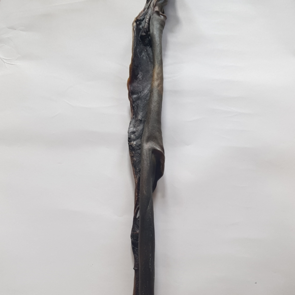 Giant Buffalo Hide 50cm