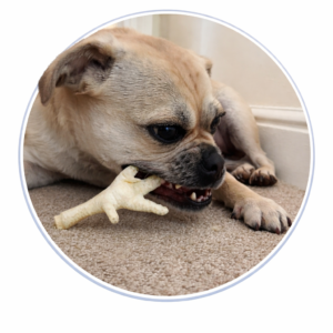 Chicken & Turkey Dog Treats & Chews – Natural & Lean