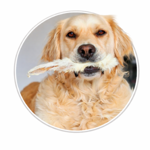 Rabbit Dog Treats & Chews – Natural & Lean