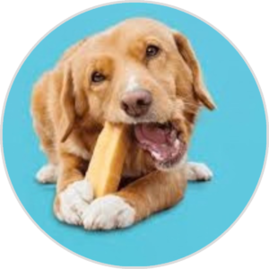 Yak Dog Chews – Long Lasting Natural Treats