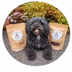 Pawfect Bakes Handmade Dog Treats – Natural & Homemade