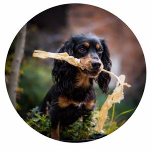 Goat Dog treats and chews